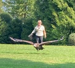 Ein Bild, das Gras, draußen, Baum, Raubvogel enthält.